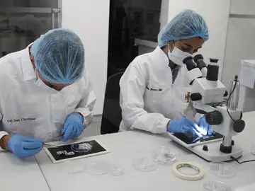 Descubren que la prueba del VPH detecta antes el cáncer de útero Descubren que la prueba del VPH detecta antes el cáncer de útero