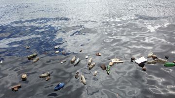 'Atrapados en plástico', una nueva campaña de WWF en contra de este material 'Atrapados en plástico', una nueva campaña de WWF en contra de este material