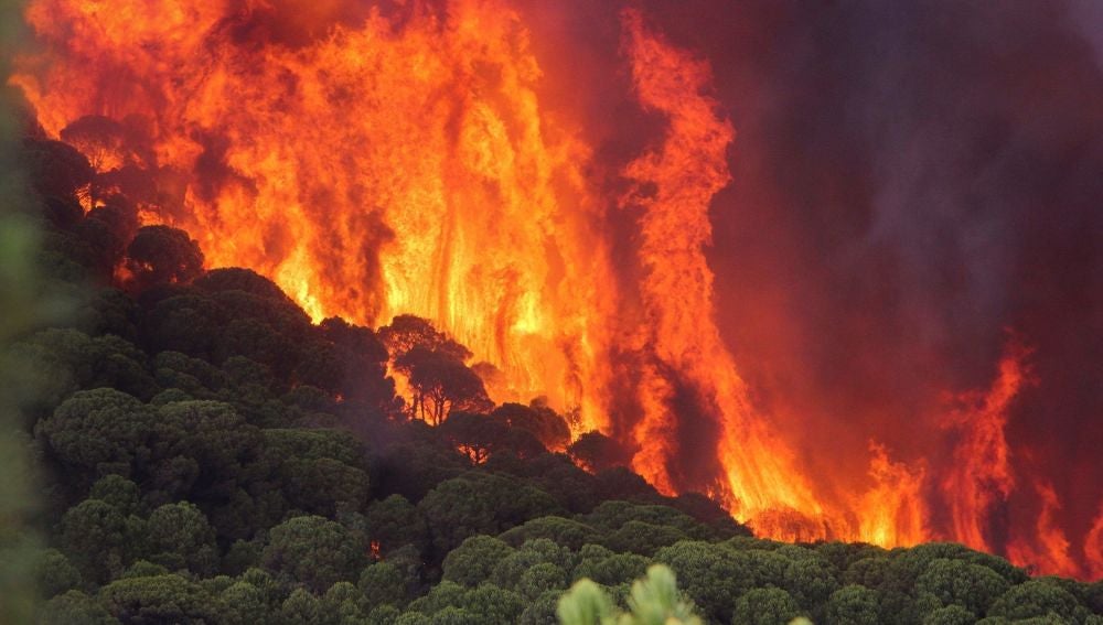2018 presenta el mejor balance en incendios forestales de los últimos diez años