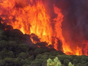2018 presenta el mejor balance en incendios forestales de los últimos diez años