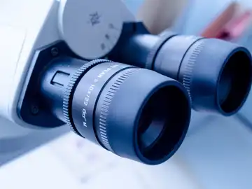 Descubren las características de una proteína clave en la inmunodepresión Descubren las características de una proteína clave en la inmunodepresión