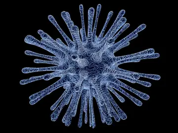 Instantánea de un virus Instantánea de un virus