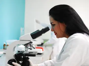 Investigadora Investigadora