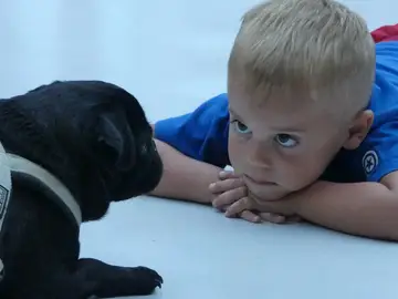 La terapia con perros muestra resultados prometedores en niños con dificultades del habla La terapia con perros muestra resultados prometedores en niños con dificultades del habla