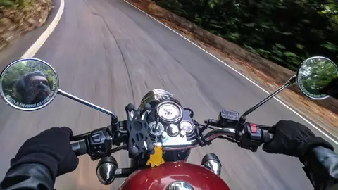 Motorista Motorista