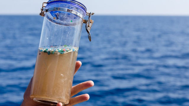 Microplásticos recogidos en el mar