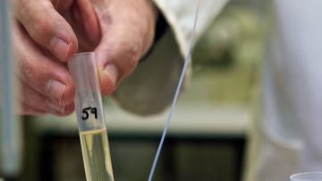 Desarrollan nuevo fármaco para inhibir un gen clave en la mayoría de tumores Desarrollan nuevo fármaco para inhibir un gen clave en la mayoría de tumores