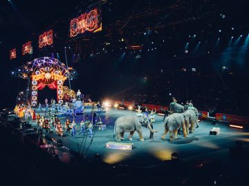 Circo con animales salvajes
