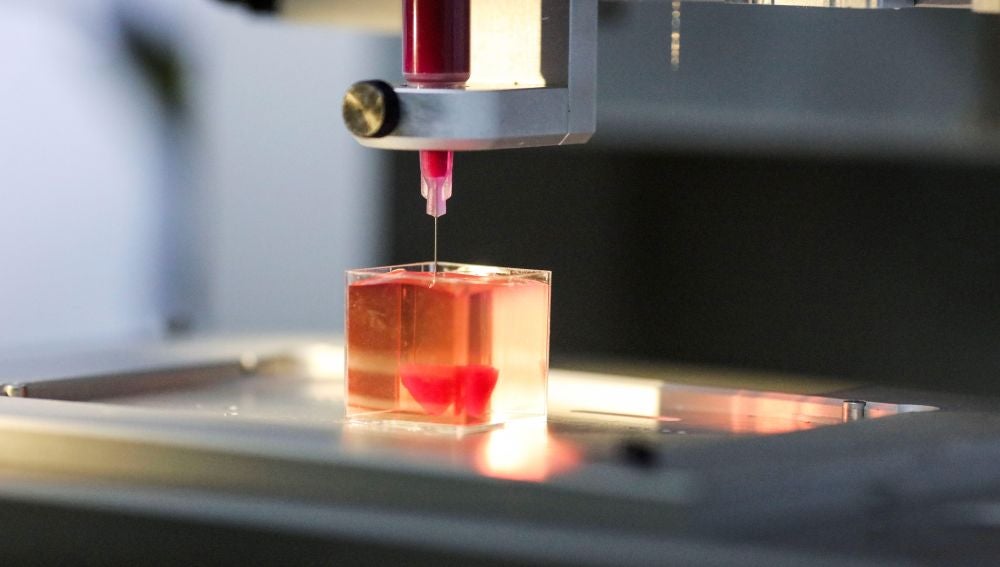 Mutilar estanque Rango Sería posible crear órganos bioartificiales y funcionales mediante una  impresora 3D | CONSTANTES Y VITALES<