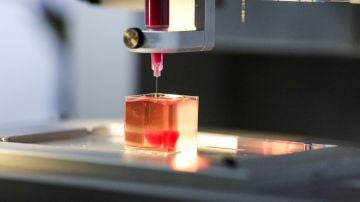 Una impresora 3D imprime un corazón con tejido humano Una impresora 3D imprime un corazón con tejido humano