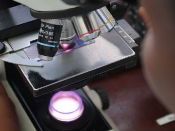 microscopio en un laboratorio