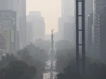Asi afecta la contaminacion a la formacion de los organos en el utero Asi afecta la contaminacion a la formacion de los organos en el utero