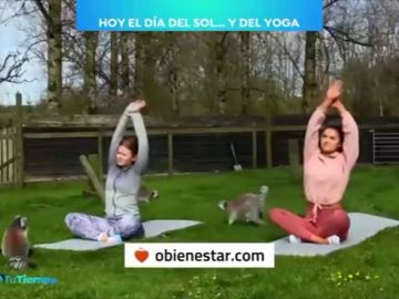 En el Día Mundial del Yoga recordamos sus múltiples beneficios para la salud y el bienestar personal En el Día Mundial del Yoga recordamos sus múltiples beneficios para la salud y el bienestar personal