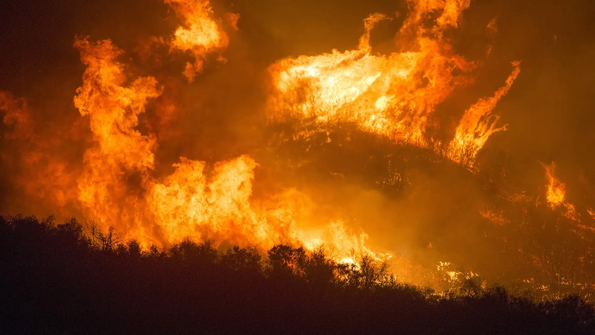 Incendio forestal