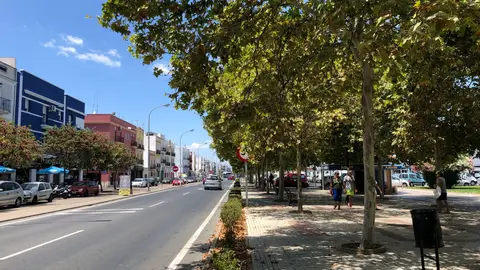 Señal oculta Las señales de tráfico de la avenida Ronda Norte de Isla CRISTINA están semi o tapadas por las ramas de los árboles que llevan años sin posarse.