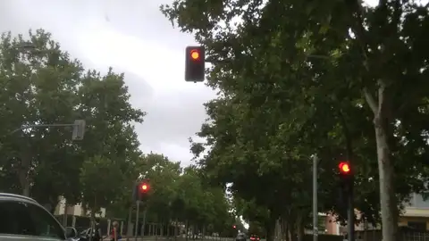 semáforos no visibles Hay dos semáforos que no se ven hasta estar encima de ellos por tener árboles pegados a ellos. Están en carretera Rueda, nada más terminar el Paseo Zorrilla, en Valladolid, frente al Mercadona.