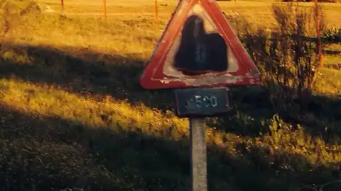 La carretera EX 323 desde Peñalsordo hasta el límite de provincia con ciudad Real está en estado tercermundista La carretera EX 323 desde Peñalsordo hasta el límite de provincia con ciudad Real está en estado tercermundista el firme son auténticas lijas y lleno de baches y las señales pueden tener más de 40 años y no tienen las medidas reglamentarias ni la altura y no hay arcenes estan llenos de hierbas y arbustos. Los peores kilómetros son del 11 al 13 y del 15 al 17 no se pueden cruzar dos coches y menos dos camiones está zona es muy transitada al ser limite de provincia. Esta zona es mas conocida como la Cuesta la Jara, Esperemos una solución ya haber si vosotros haceis fuerza un saludo y gracias..