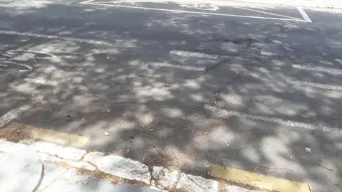 Caida con patinete electrico por defecto del carril bicis Buenas noches. El pasado día 03/07/2019, tuve un siniestro de regreso a casa por el carril bicis de la C/ Raimundo Olabide Nº16 de Vitoria-Gasteiz. La carretera se encuentra en muy mal estado, lo que provocó que perdiera el control de mi patinete eléctrico y cayera al suelo, produciendome una brecha de 2 puntos en la nariz y muchas magullduras en brazos, piernas y cara.
