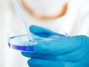 Una investigadora examina una muestra celular Una investigadora examina una muestra celular
