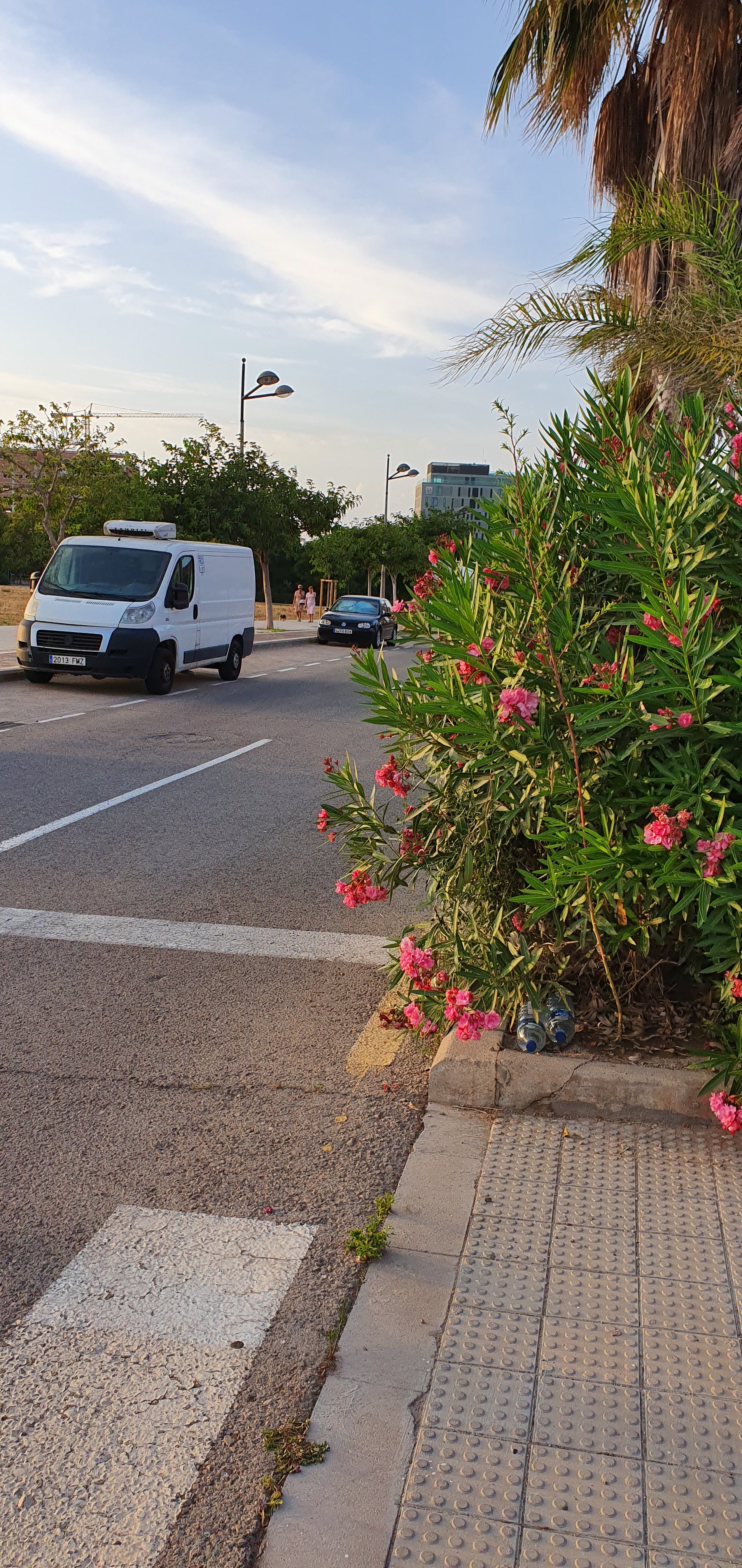 Nula visibilidad peatones Continuación Ignacio Zuloaga con camino del Canal en Nazaret (valencia) Es una doble calle con seto en medio. Al cruzar por el semáforo y estar el seto sin podar, ni los peatones ven venir los coches ni los coches a los peatones. Extremadamente peligroso sobre todo para las personas mayores que se ven obligadas a asomar la cabeza y mirar estando ya en la calzada.