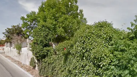 Señal límite velocidad tapada A la entrada de la Urbanización El Maset en Masquefa (Barcelona) existe una señal de límite de velocidad que lleva muchísimo tiempo tapada por la vegetación y la falta de mantenimiento del Ayuntamiento de Masquefa en temas viales en dicha urbanización.