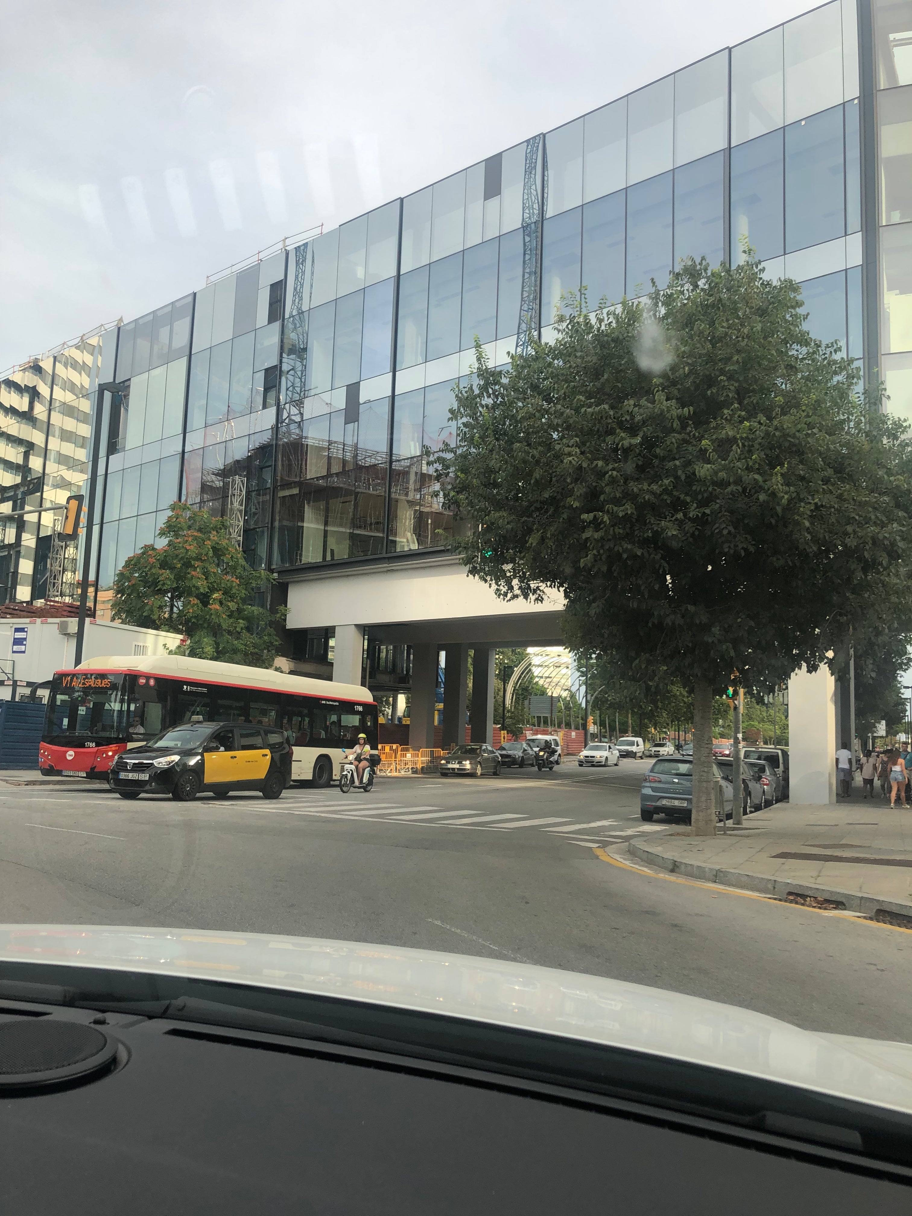 Semaforo no visible por arbol En la rotonda que une las calle, Amadeu torner y la calle Jesrusalem en hospitalet de llogregat, el arbol tapa los dos semaforos de la calle amadeu torner hacia la rotonda de gran via.