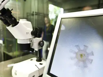 Vista de un microscopio en un laboratorio Vista de un microscopio en un laboratorio