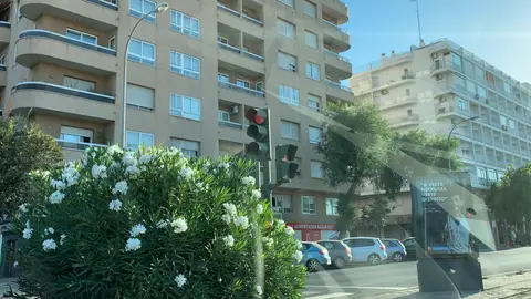 Semáforo oculto tras las adelfas En Sevilla, en la avenida Flota de Indias, justo en la portada de la Feria, direccion al centro de la ciudad, está este semáforo casi oculto tras una adelfa.