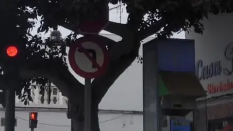 Ramas arbol tapando STOP En la avenida Eugenio Rijo Rocha con el cruce calle Tinamala hay un semaforo con dos señales una prohibido girar izquierda y un stop, ya ha sucedido que el semaforo se ha averiado y ha habido accidente por estar las ramas del arbol tampandola