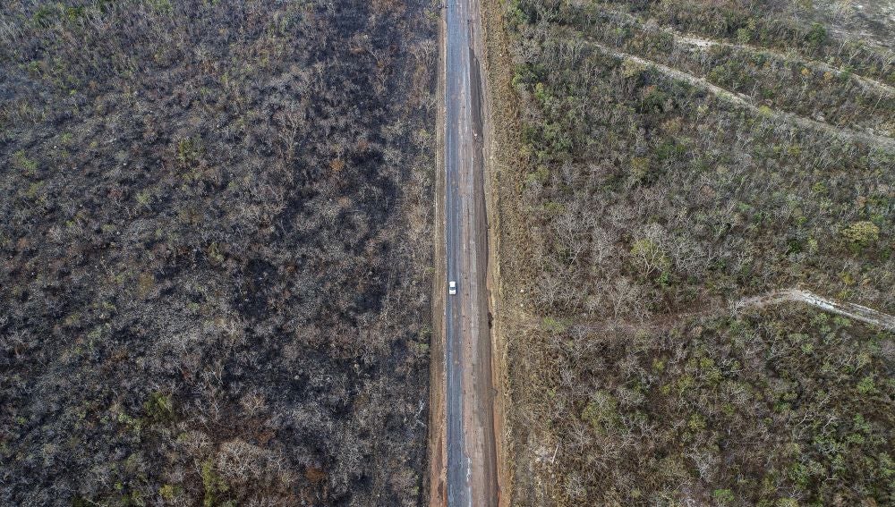 incendios de Brasil de este año se han producido en la Amazonia