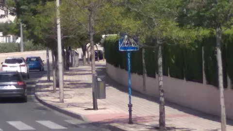 Árbol tapa cartel cruce peatonal Avenida Oviedo 17 Playa San Juan Alicante 03540, los coches no frenan porque el árbol tapa la señalización.