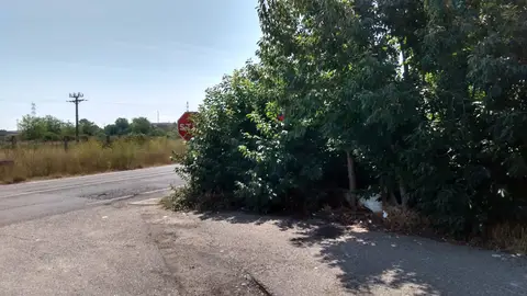 Peligro consrante Señales no visibles y peligrosa al estar tapadas por arbustos tienes que sacar medio vehículo a la carretera. Carretera avinguda artesa con intersección calle Artur Vives. Gracias