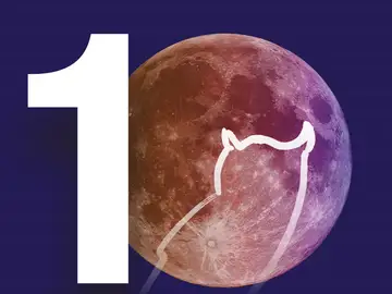 Noche Europea de los Investigadores Noche Europea de los Investigadores