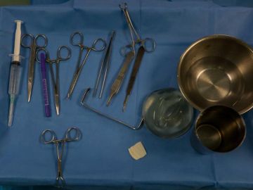 Instrumentos para trasplante
