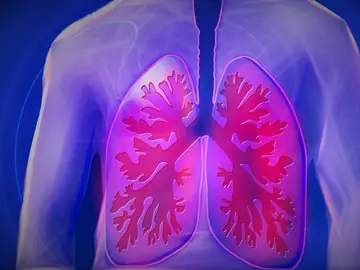 El cáncer de pulmón mata cada año a unas 23.000 personas en España El cáncer de pulmón mata cada año a unas 23.000 personas en España