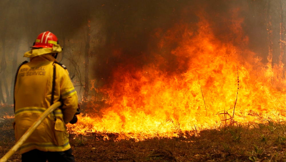 Oleada de incendios en Nueva Gales del Sur, en Australia