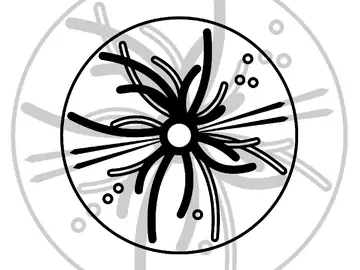 Bosson de Higgs Bosson de Higgs