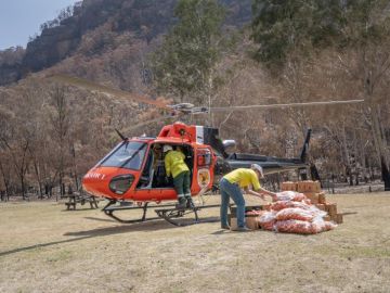 Australia lanza desde helicópteros comida a los animales afectados por los incendios