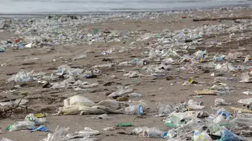 Residuos plásticos en una playa