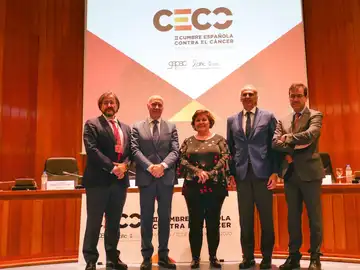 II Cumbre Española Contra el Cáncer II Cumbre Española Contra el Cáncer