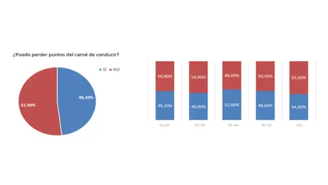¿Puedo perder puntos del carné de conducir? ¿Puedo perder puntos del carné de conducir?