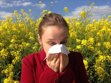 Alergia Alergia