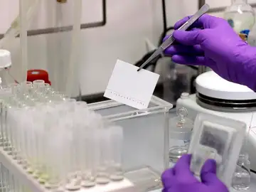 Investigación en laboratorio Investigación en laboratorio