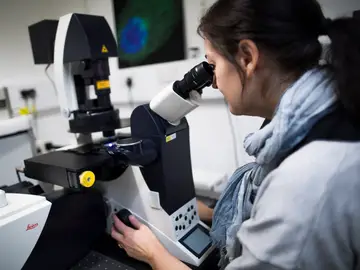 Una científica mira a través de un microscopio Una científica mira a través de un microscopio