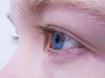 Ojos Ojos