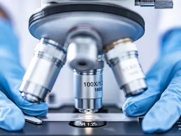 microscopio microscopio