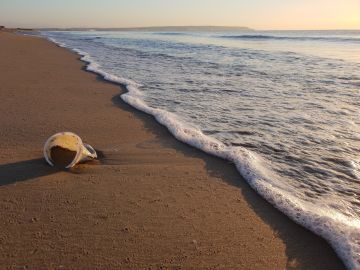 Residuos plásticos en una playa
