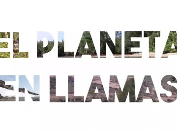 WWF pide medidas urgentes de prevención para hacer frente a los nuevos incendios forestales