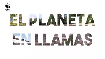 WWF pide medidas urgentes de prevención para hacer frente a los nuevos incendios forestales WWF pide medidas urgentes de prevención para hacer frente a los nuevos incendios forestales