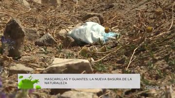 Mascarillas y guantes: la nueva basura de la naturaleza Mascarillas y guantes: la nueva basura de la naturaleza